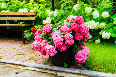 Similar image 22273067