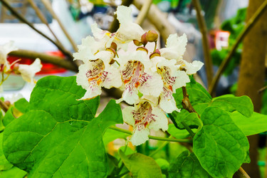 Similar image 22273069