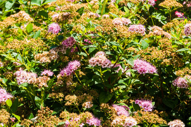 Similar image 22276876