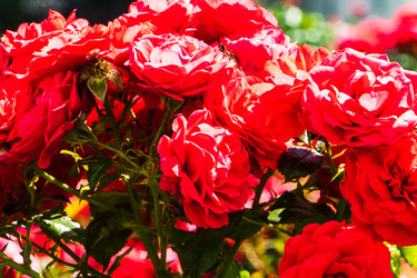 Similar image 22279648