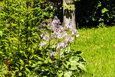 Similar image 22279651