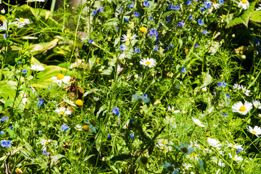 Similar image 22279653