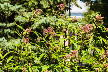 Similar image 22279654