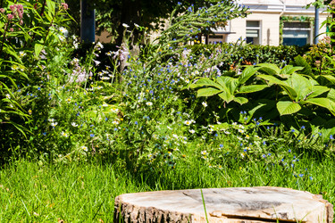 Similar image 22279655