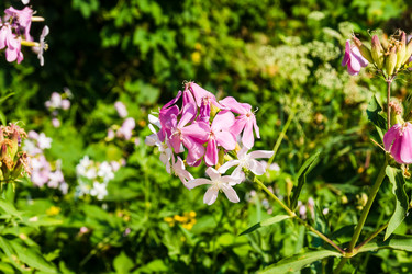 Similar image 22279656