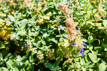 Similar image 22281206