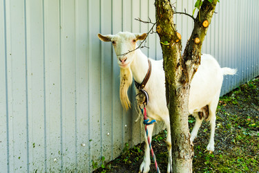 Similar image 22281211