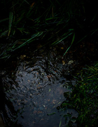 Similar image 22248793