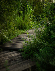 Similar image 22248794