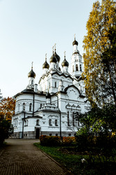 Similar image 22256445