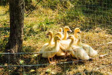 Similar image 22281212