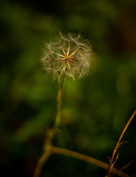 Similar image 22248795