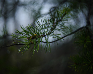 Similar image 22248797