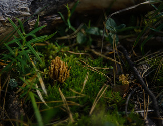 Similar image 22248798