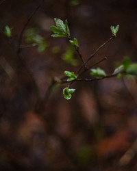 Similar image 22248799