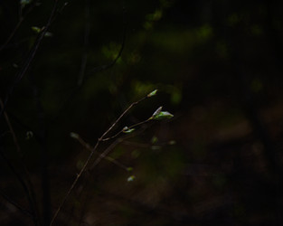 Similar image 22248801