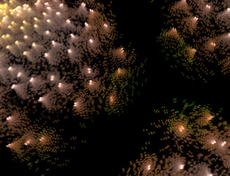 Similar image 22286373