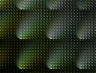 Similar image 22286381