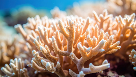 Similar image 22273036