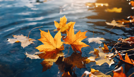 Similar image 22273043