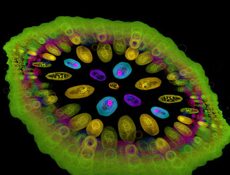 Similar image 22286142