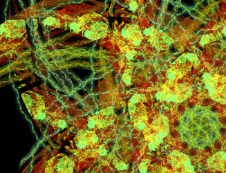 Similar image 22286151