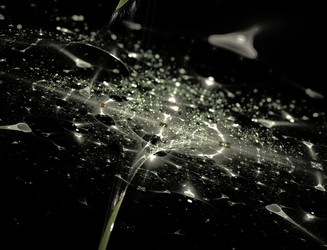 Similar image 22280844