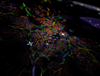 Similar image 22287467