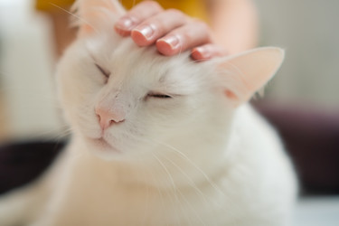 Similar image 22261628