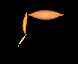 Similar image 22278221