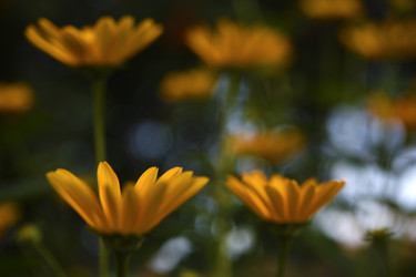 Similar image 22261643