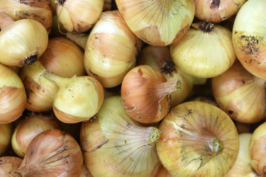 Similar image 22261644