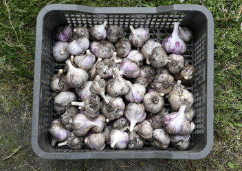 Similar image 22261645