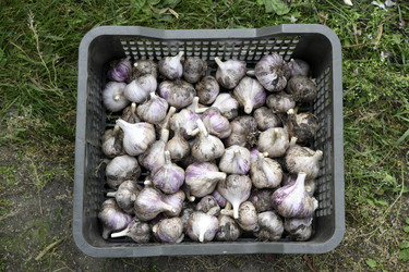 Similar image 22261646