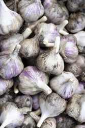 Similar image 22261648