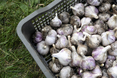 Similar image 22261649