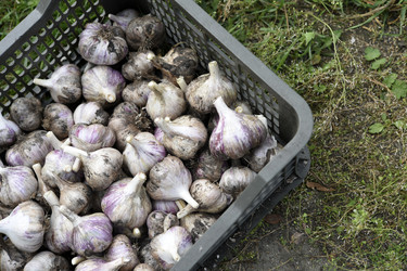 Similar image 22261650