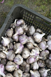 Similar image 22261651