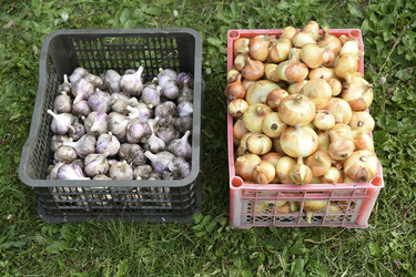 Similar image 22261653