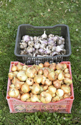 Similar image 22261654