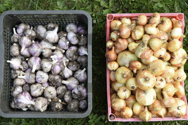 Similar image 22261655