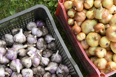 Similar image 22261657