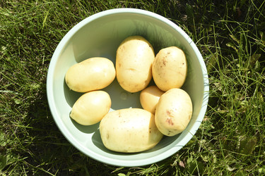 Similar image 22261659