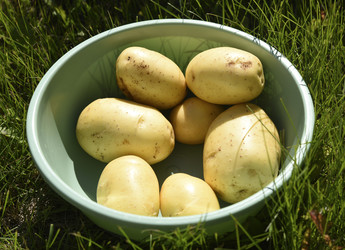 Similar image 22261660