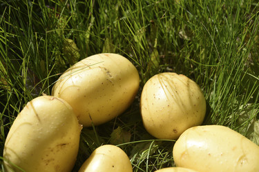 Similar image 22261661