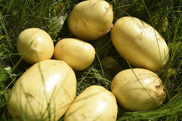 Similar image 22261663