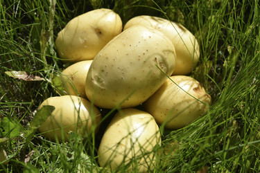 Similar image 22261664