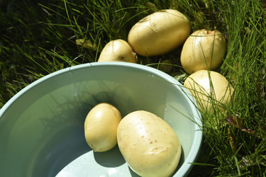 Similar image 22261665