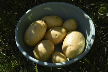 Similar image 22261666