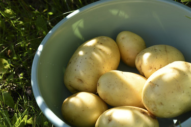 Similar image 22261667